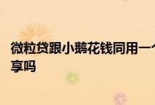 微粒贷跟小鹅花钱同用一个额度吗 小鹅花钱跟微粒贷额度共享吗