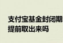 支付宝基金封闭期怎么提前取出来 基金可以提前取出来吗