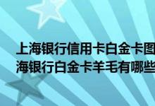 上海银行信用卡白金卡图 上海银行信用卡薅羊毛怎么薅 上海银行白金卡羊毛有哪些