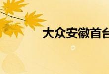 大众安徽首台白车身正式下线