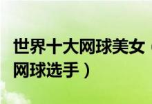 世界十大网球美女（网坛美女排行榜最美女子网球选手）