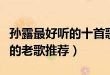 孙露最好听的十首歌（孙露歌曲精选孙露好听的老歌推荐）