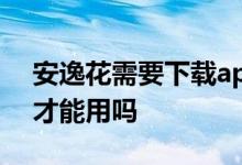 安逸花需要下载app吗 安逸花还得下载app才能用吗