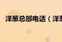 洋葱总部电话（洋葱先生客服电话是多少）