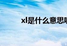 xl是什么意思呢（xl是什么尺寸）