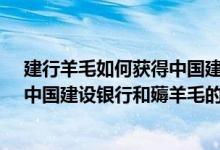 建行羊毛如何获得中国建设银行、中国移动银行、薅羊毛、中国建设银行和薅羊毛的信贷？建行羊毛策略是什么？