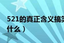 521的真正含义搞笑图片（521的真正含义是什么）