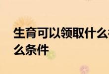 生育可以领取什么补贴 申请生育津贴需要什么条件 