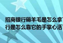 招商银行薅羊毛是怎么拿下招商银行信用卡的薅羊毛招商银行是怎么靠它的手掌心活下来的薅羊毛是怎么拿下的？