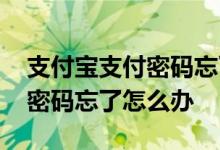 支付宝支付密码忘了怎么找回来 支付宝支付密码忘了怎么办