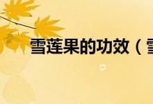 雪莲果的功效（雪莲果的功效和作用）
