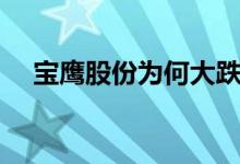 宝鹰股份为何大跌 宝鹰股份为什么不涨 