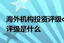 海外机构投资评级c是什么意思 海外机构投资评级是什么