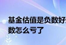 基金估值是负数好还是正数好 基金估值是正数怎么亏了
