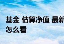 基金 估算净值 最新净值 基金的净值估算走势怎么看