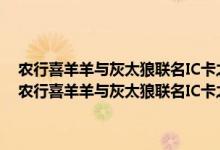 农行喜羊羊与灰太狼联名IC卡之小灰灰卡(银联 人民币 金卡)费用说明 农行喜羊羊与灰太狼联名IC卡之小灰灰卡(银联 人民币 金卡)积分规则
