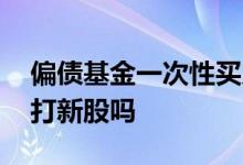 偏债基金一次性买入还是定投 偏债基金可以打新股吗