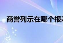 商誉列示在哪个报表里 商誉在哪个报表里