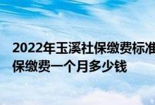 2022年玉溪社保缴费标准基数及比例一览表 2022年玉溪社保缴费一个月多少钱 