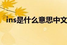 ins是什么意思中文翻译（ins是什么意思）