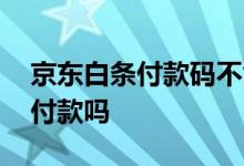 京东白条付款码不能付款 京东白条超市可以付款吗