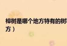 樟树是哪个地方特有的树种（龙脑樟树生长在我国的什么地方）