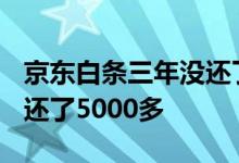 京东白条三年没还了5000多 京东白条三年没还了5000多
