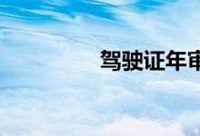 驾驶证年审查询详情介绍