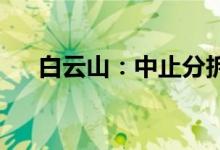 白云山：中止分拆广州医药到境外上市