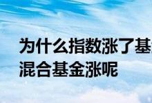 为什么指数涨了基金不涨 为什么指数不涨而混合基金涨呢