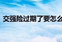 交强险过期了要怎么办 交强险过期怎么办理