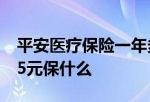 平安医疗保险一年多少钱 平安医疗险一年365元保什么