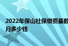 2022年保山社保缴费基数及比例 2022年保山社保缴费一个月多少钱 