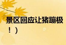 景区回应让猪蹦极（绑猪景区已经正式致歉了！）