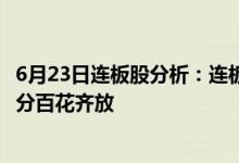 6月23日连板股分析：连板股晋级率近3成汽车产业链各个细分百花齐放
