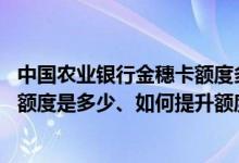 中国农业银行金穗卡额度多大 农业银行的金穗个人普卡规定额度是多少、如何提升额度