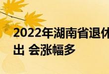 2022年湖南省退休养老金调整方案什么时候出 会涨幅多 