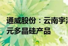 通威股份：云南宇泽计划向公司采购约385亿元多晶硅产品
