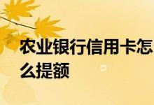 农业银行信用卡怎么提额 农业银行信用卡怎么提额