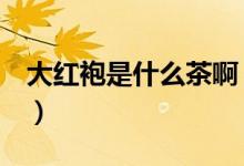 大红袍是什么茶啊（大红袍是什么茶（图文））