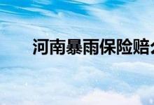 河南暴雨保险赔么 河南暴雨保险赔吗