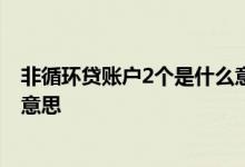 非循环贷账户2个是什么意思 非循环贷账户信息汇总是什么意思