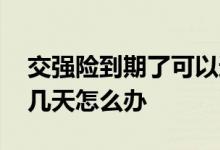 交强险到期了可以过几天再交吗 交强险过了几天怎么办