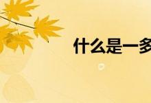 什么是一多2 0终身寿险？