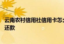 云南农村信用社信用卡怎么贷款 云南农村信用社信用卡怎么还款