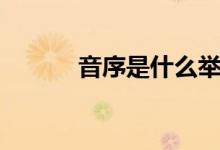 音序是什么举例（音序是什么）