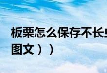 板栗怎么保存不长虫不会坏（板栗怎么保存（图文））