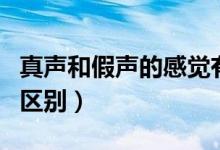 真声和假声的感觉有什么区别（真声和假声的区别）