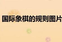 国际象棋的规则图片（国际象棋的规则口诀）