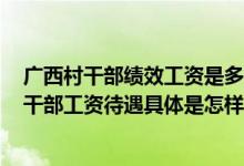广西村干部绩效工资是多少 村干部工资发放标准2022：村干部工资待遇具体是怎样的 